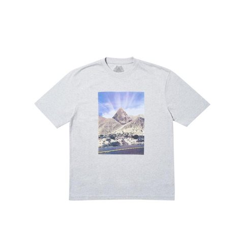 P-SPRANG T-SHIRT GREY MARL