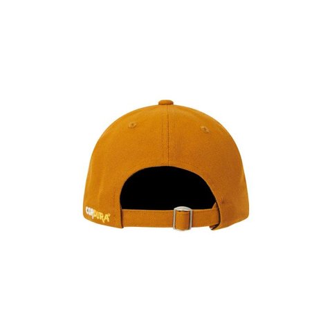 Palace BASICALLY A CORDURA 6-PANEL BROWN