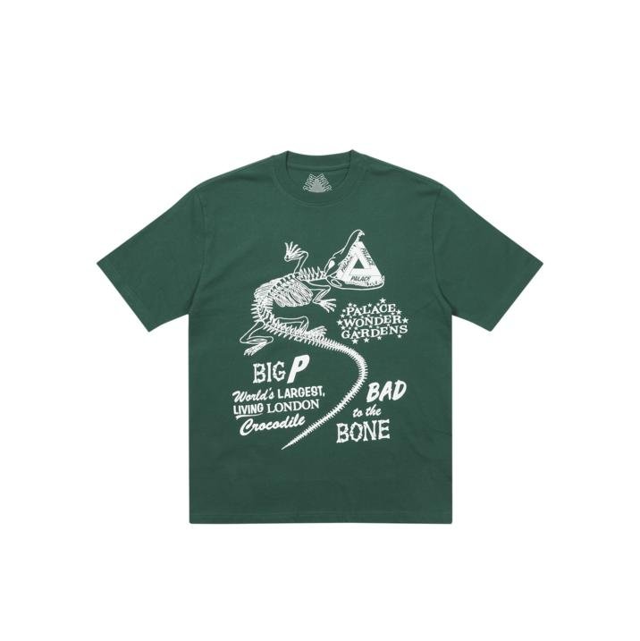CHOMPER T-SHIRT GREEN