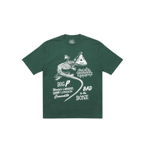 Palace CHOMPER T-SHIRT GREEN