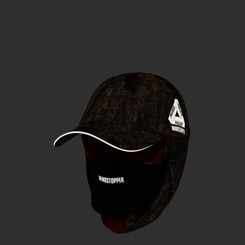 Palace GORE-TEX INFINIUM WINDSTOPPER MASK 6-PANEL REALTREE TIMBER - Colorway