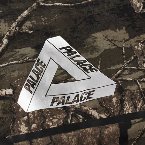 Palace GORE-TEX WINDSTOPPER MASK JACKET REALTREE TIMBER - Colorway