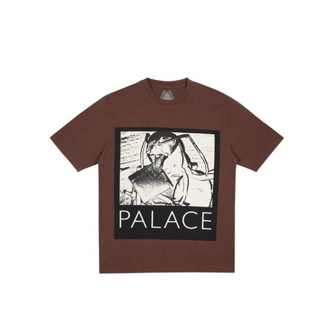 Palace CHIP T-SHIRT BROWN
