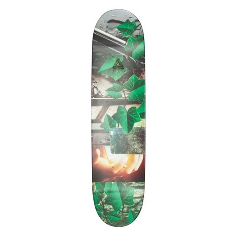 Palace BRADY PRO S18 8