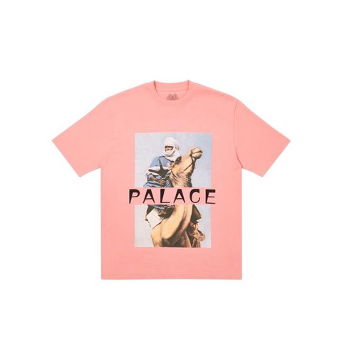 Palace CAMEL T-SHIRT PINK
