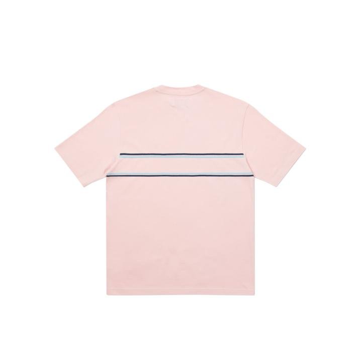 Palace Winter 2020