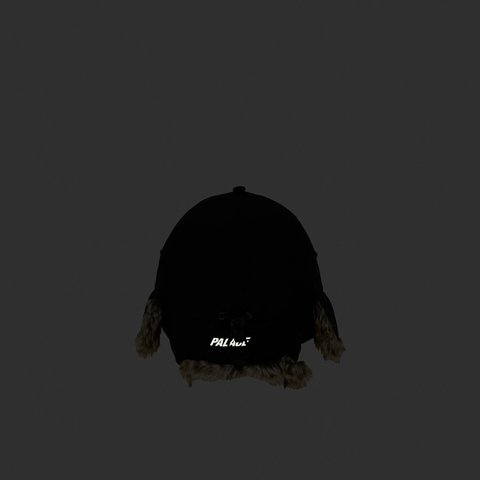 Palace GORE-TEX DOG EAR 6-PANEL BLACK - Colorway