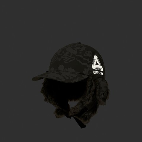 Palace GORE-TEX DOG EAR 6-PANEL LEAF DPM - Colorway