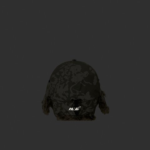 Palace GORE-TEX DOG EAR 6-PANEL LEAF DPM - Colorway
