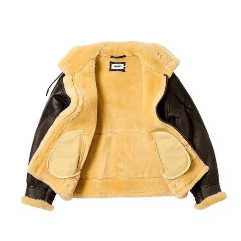 Palace PALACE FLYING JACKET BROWN - Colorway
