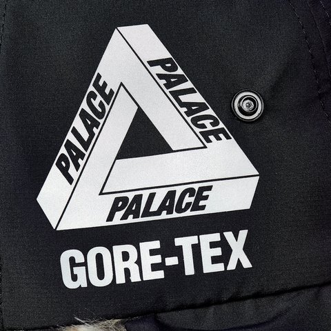 Palace GORE-TEX DOG EAR 6-PANEL BLACK - Colorway