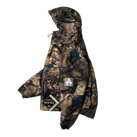 Palace GORE-TEX COTTON RS JACKET ROCKSCAPE - Colorway