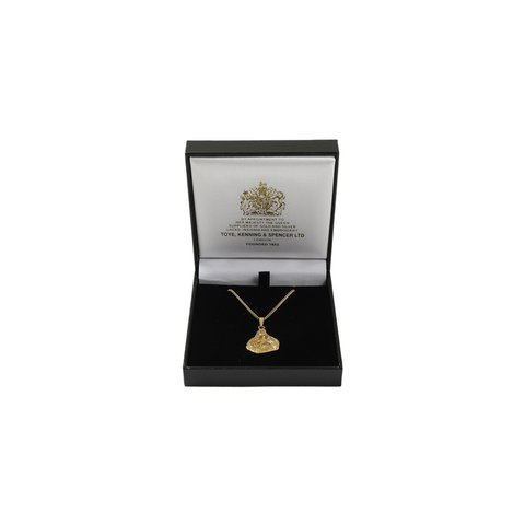 Palace HOLY GRAIL NECKLACE GOLD - Colorway