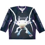 BUILDING YOUR WORLD HOCKEY JERSEY PURPLE