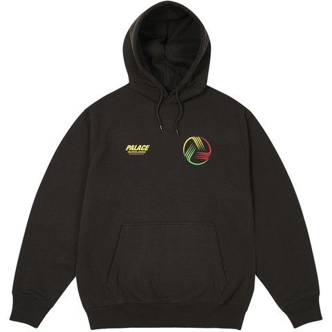 Palace PALACE TECHNOLOGIES HOOD BLACK - €148.00