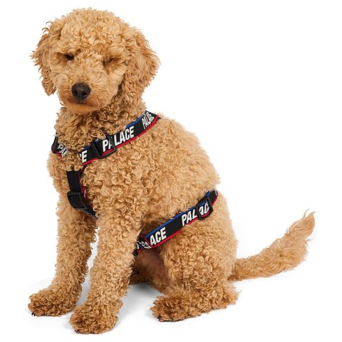 Palace BASICALLY A DOG HARNESS BLACK / MULTI - Style 6