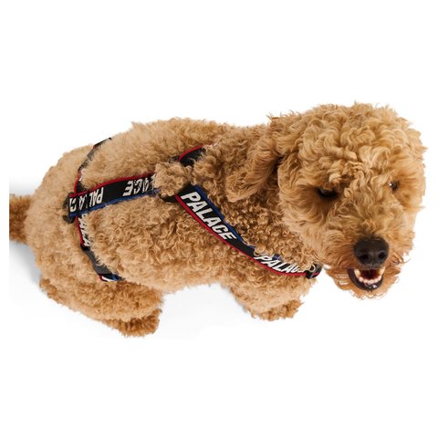 Palace BASICALLY A DOG HARNESS BLACK / MULTI - Style 6