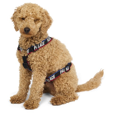 Palace BASICALLY A DOG HARNESS BLACK MULTI