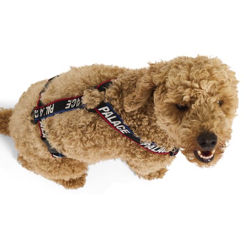 Palace BASICALLY A DOG HARNESS BLACK MULTI - Colorway
