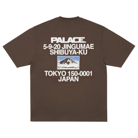 Palace SUMMIT T-SHIRT CHOCCO BROWN - Colorway