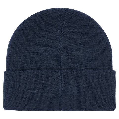 Palace TRI-FERG BEANIE NAVY - Colorway