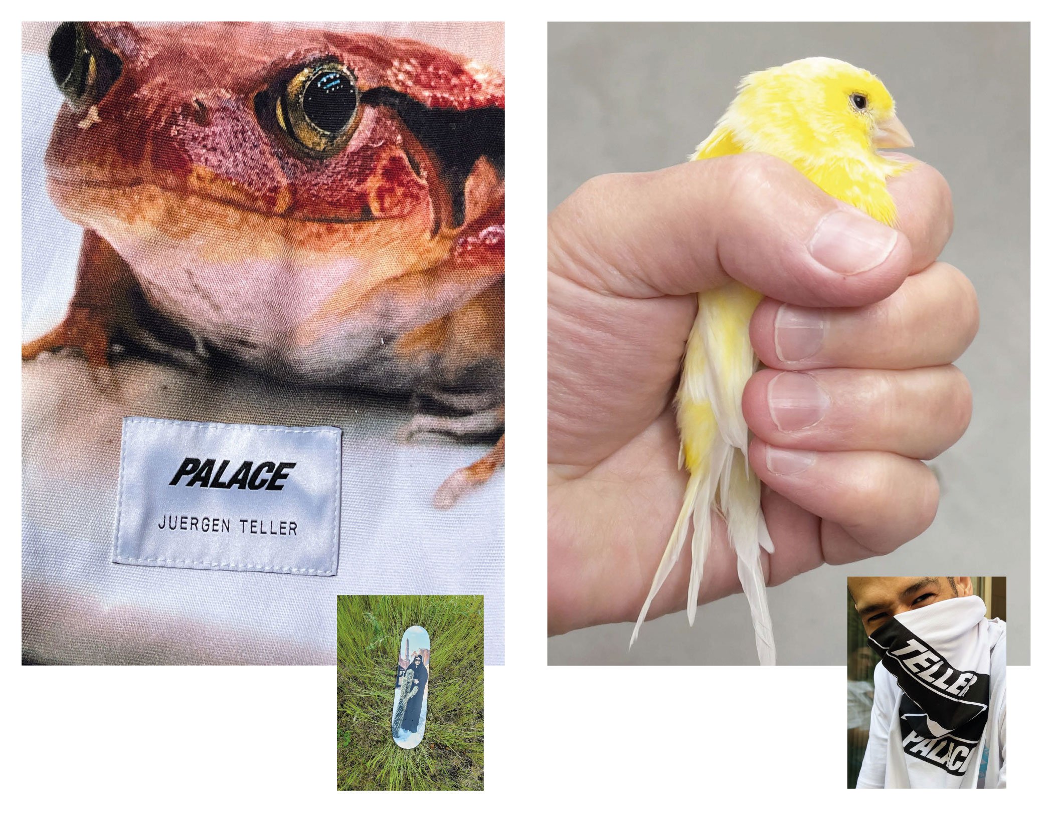 Palace Juergen Teller Lookbook