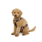 BASICALLY A DOG HARNESS BLACK / MULTI
