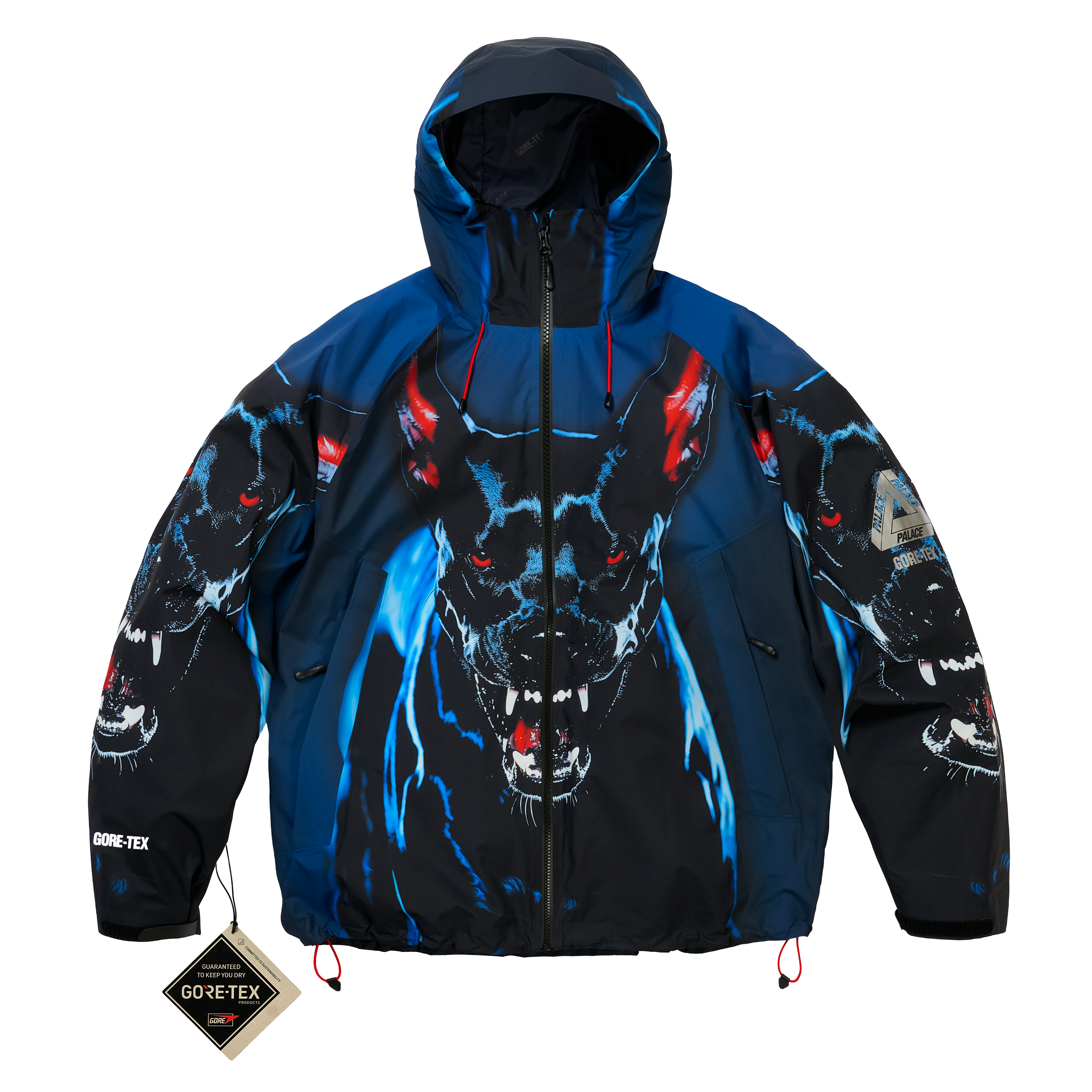 GORE-TEX 2L P-TEK JACKET K-NEIN PRINT