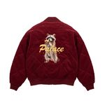 Palace restock - HUNGRY RACCOON JACKET BERG