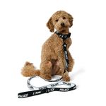 JACQUARDED DOG COLLAR AND LEAD BLACK