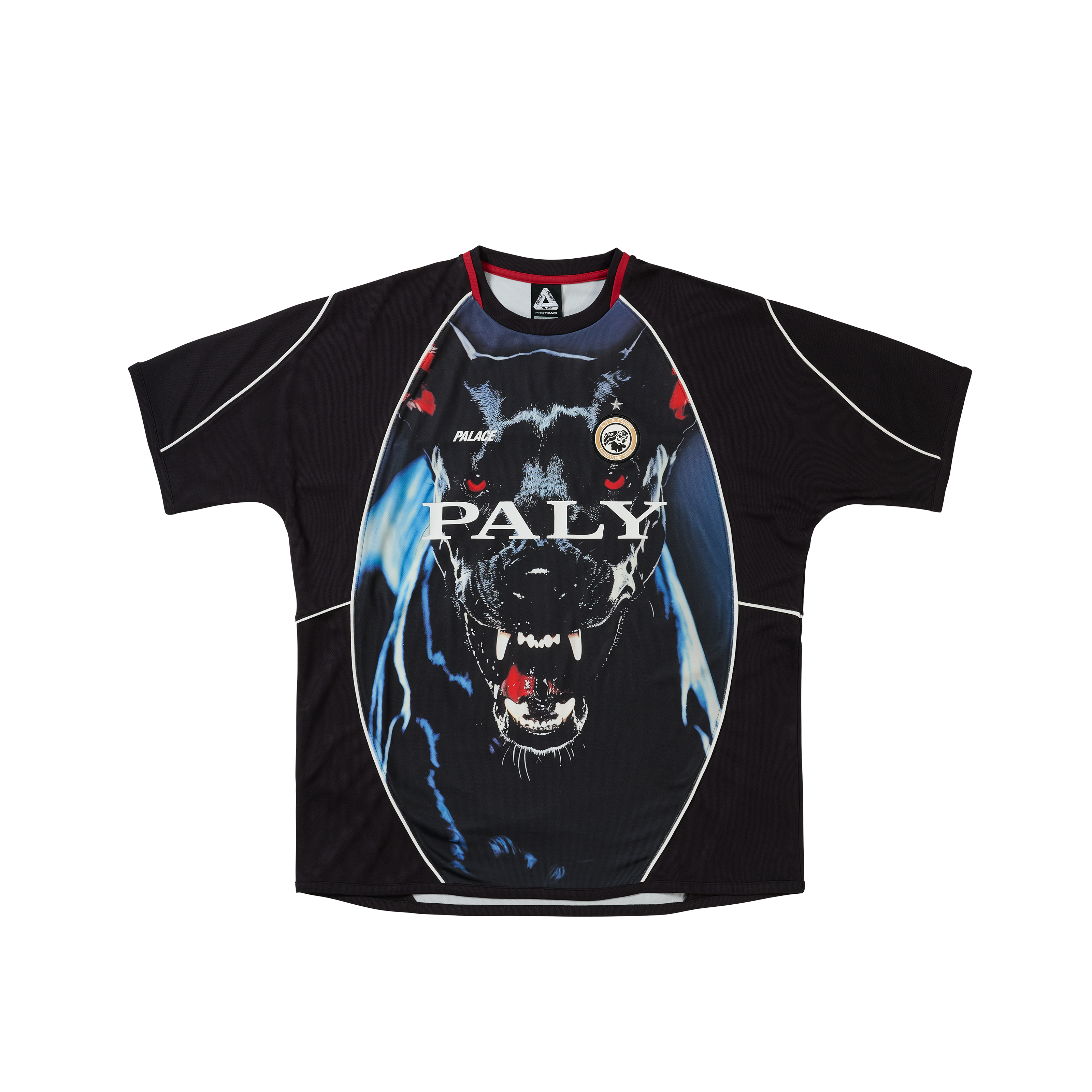 PRO TEAM PIPED JERSEY K-NEIN PRINT